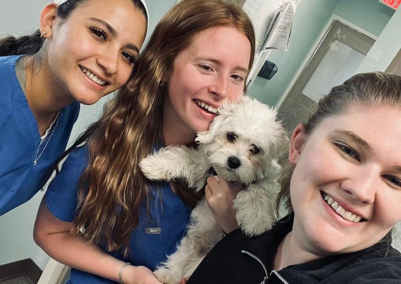 Carousel Slide 4: Dog vets