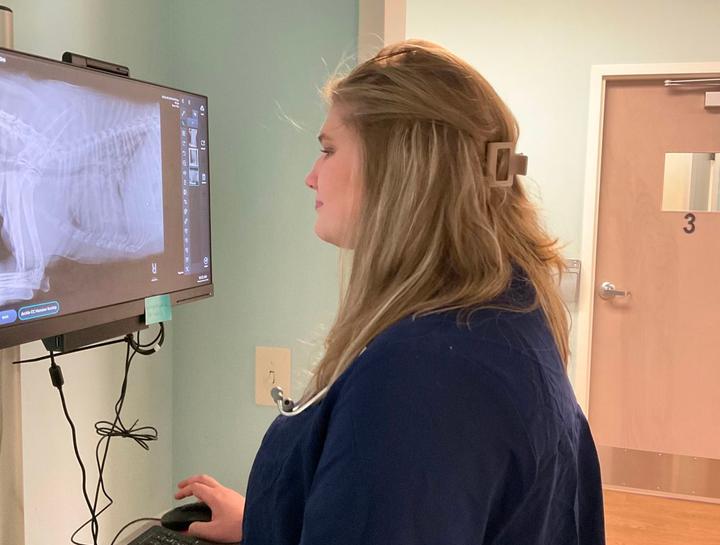 Pet Digital Radiology